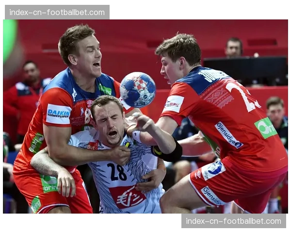 消息：前欧洲手球联合会官员因贿赂案在瑞士出庭受审